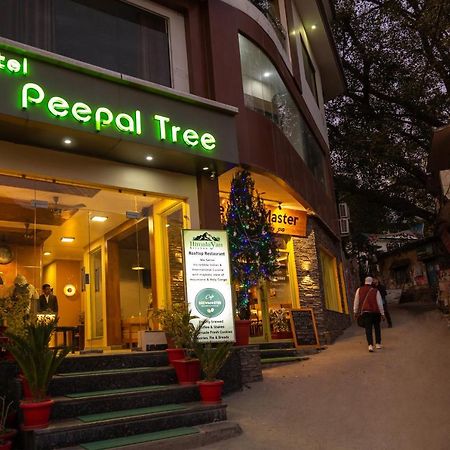 Hotel Peepal Tree Ришикеш Экстерьер фото